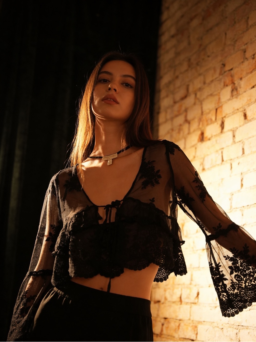 Black Sheer Floral Lace Tie-Front Cropped Blouse - Women's Top